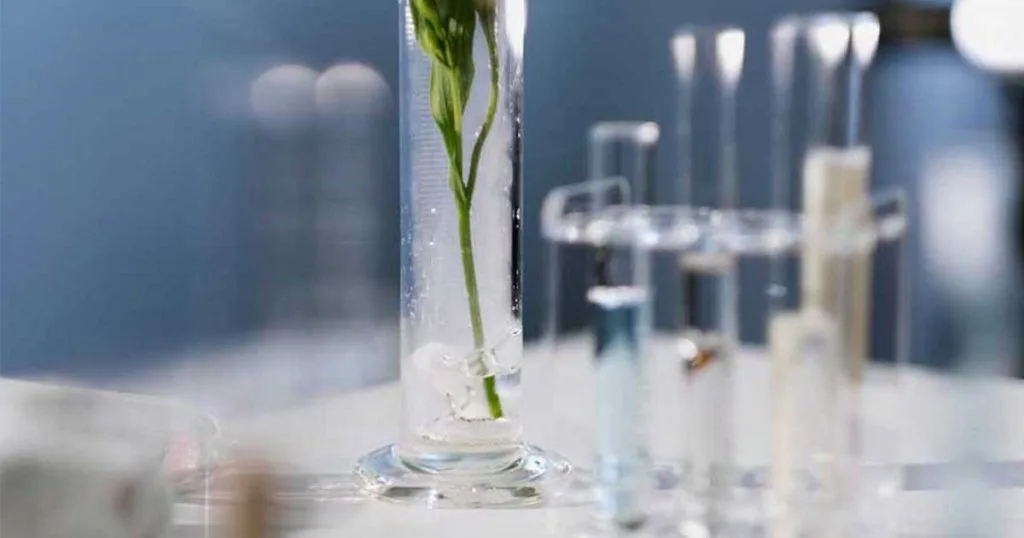 My pham sinh hoc lam dep thuan khiet va an toan 1024x538 1