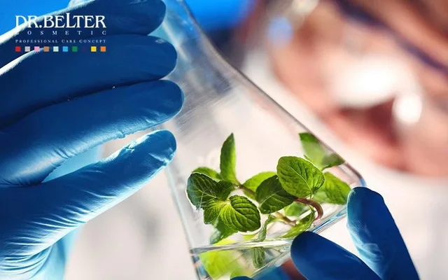 photo 1 1625064250726274154636