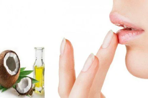 20210419 022951 106242 dau dua cho moi.max 800x800 1