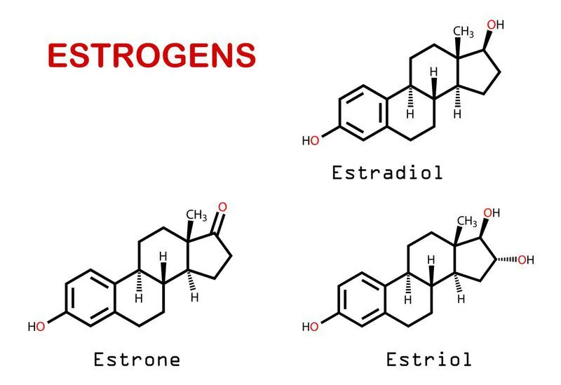 20210421 002319 211593 estrogen.max 800x800 1