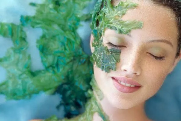 20210611 042409 027412 Vi tao bien la gi.max 800x800 1