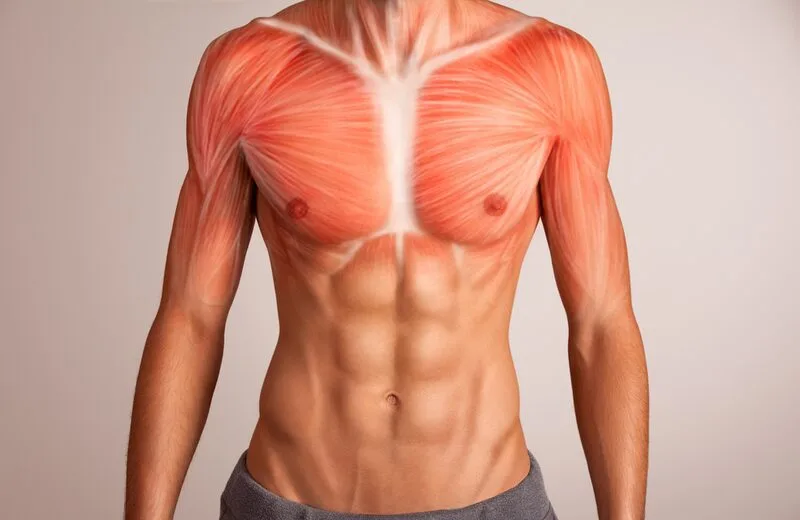 20220416 034029 750241 cay ghep pec 5.max 800x800 1