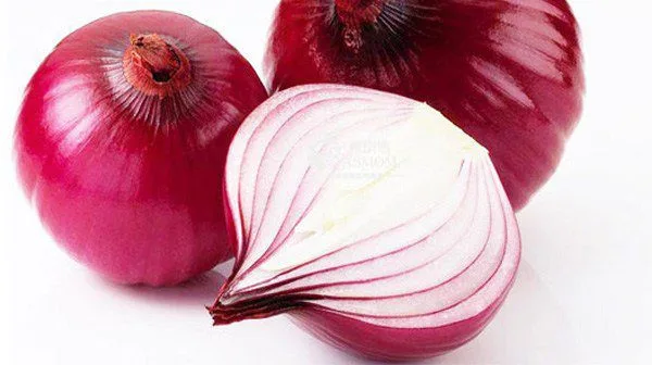 20220801 084133 085287 hanh tay tim co tac d.max 800x800 1