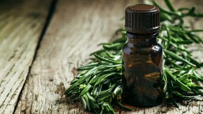 20230112 082639 295553 dau cay tra.max 800x800 1