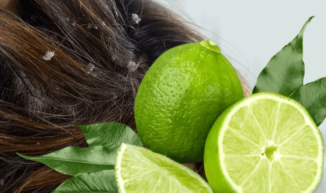 20230113 043013 364367 goi dau bang chanh.max 800x800 1 png