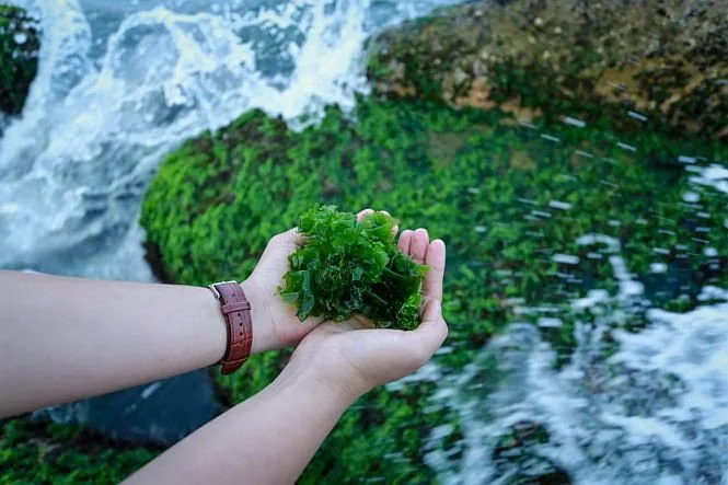 20230113 043715 500967 an reu bien co giam c.max 800x800 1