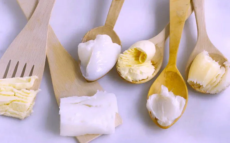 20230125 143216 245491 mo dong vat.max 800x800 1