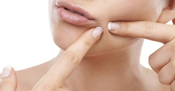 20230130 075259 878349 mun thoi ky man kinh.max 800x800 1