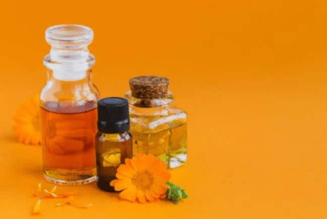 20230201 032353 333327 dau calendula 1.max 800x800 1 png