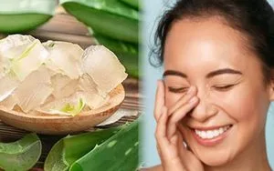 photo1695632909113 16956329093562072830868