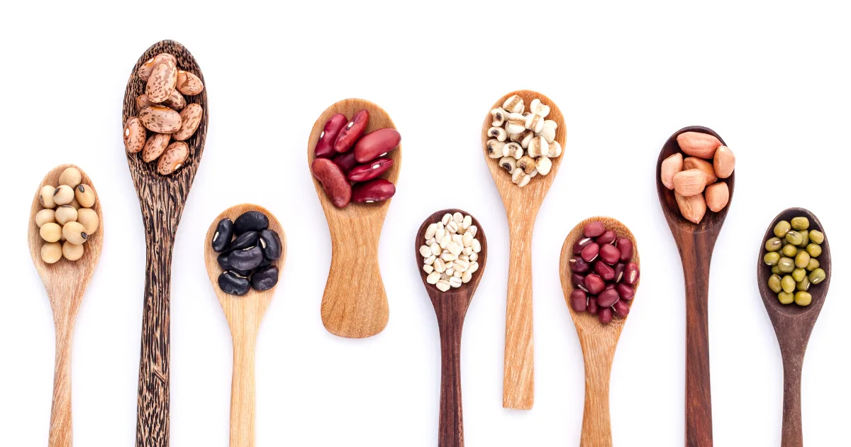 20220505 072058 435731 phytoestrogens.max 1800x1800 1 png