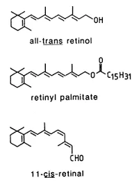 Retinoid png