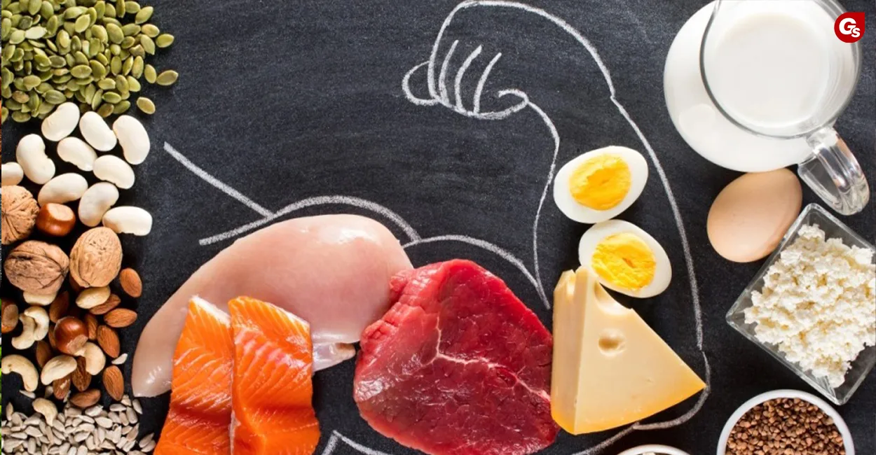 qua trinh tong hop protein gymstore 1 jpeg 16898406601862048837519