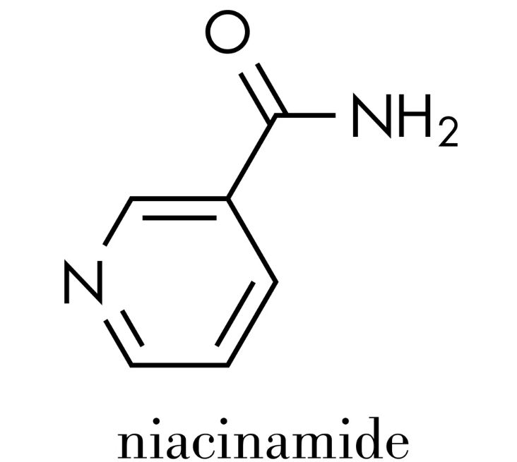 Niacinamide và kem chống nắng kết hợp với nhau có tốt không 2024? 2 Niacinamide