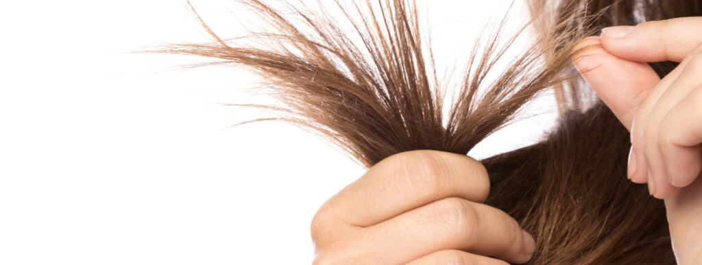 Chăm sóc da và tóc trong mùa đông không khó 2024 3 dry hair