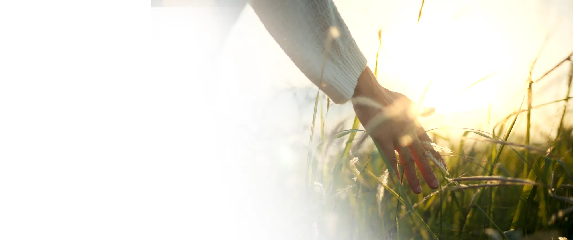 Banner Nachhaltigkeit