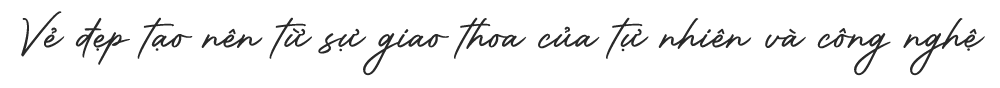 Text 1 copy