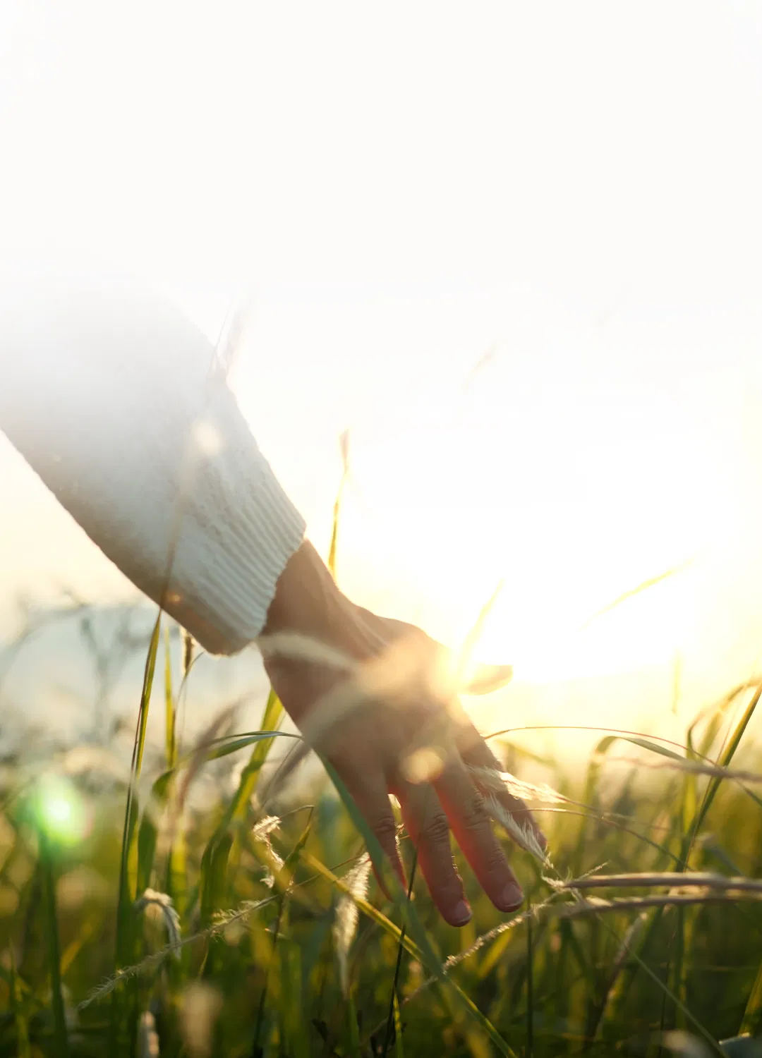 Header Mobile Nachhaltigkeit