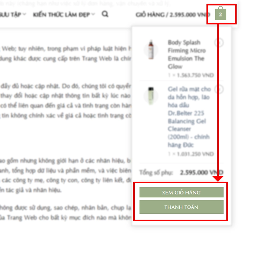 B2 dat hang copy 1