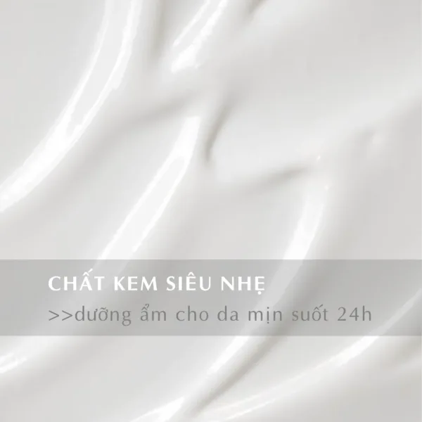 224 Aquasilk 24.4 png