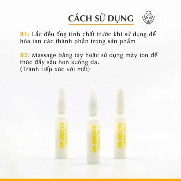 509 No.5 Sleeping Beauty.3 png