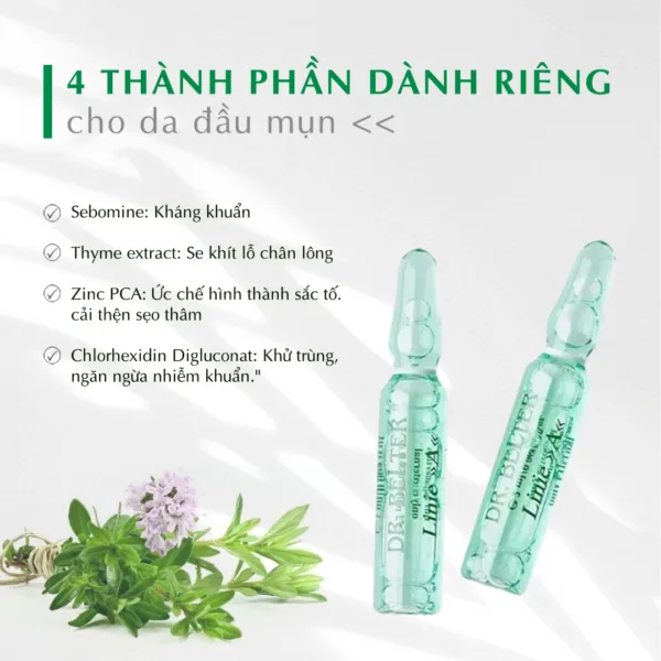 524 Ampoule Line A.1 png