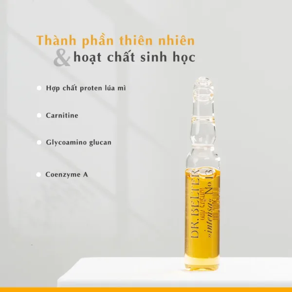 533 No.13 Lifting Essence.1 png