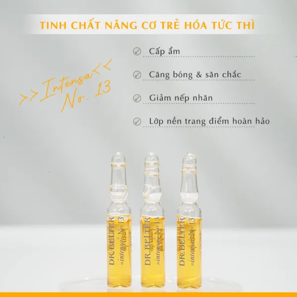 533 No.13 Lifting Essence.2 png