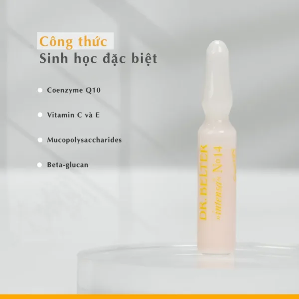 534 No.14 Physio Energy.1 png