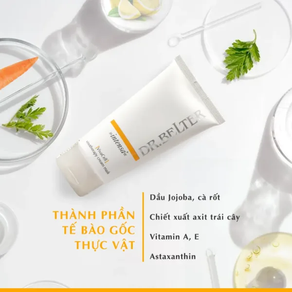 545 VivaCell Vinotherapy Cream Mask.1 png