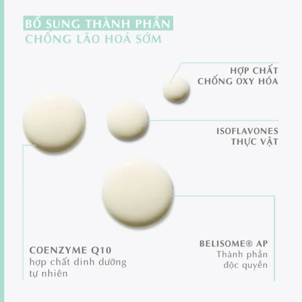 Serum thuần chay Dr.Belter 761 Phyto sensation Elixir 30ml. 7 761 Phyto Sensation Elixir.1 png