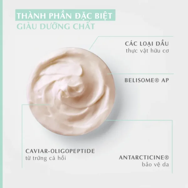 768 Multiactive Repair Cream.1 png