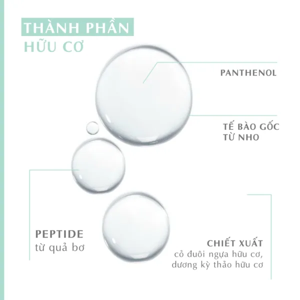 772 Daydream Tonic Spray.1 png