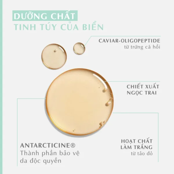 773 Revitalizing Serum.1 png