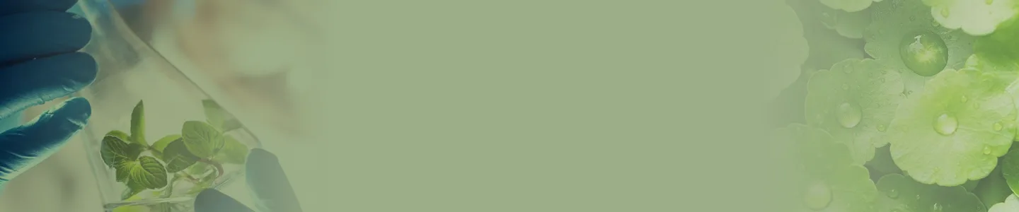 Group 573 png