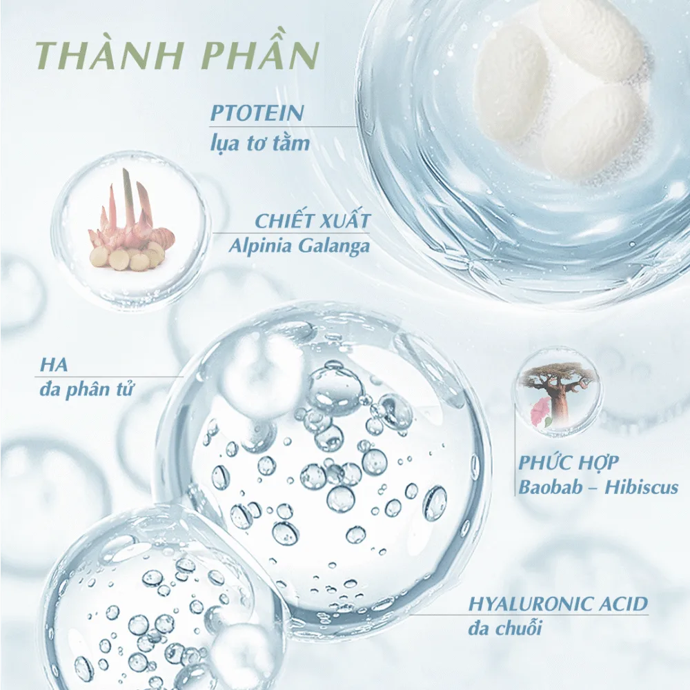 4 anh thanh phan