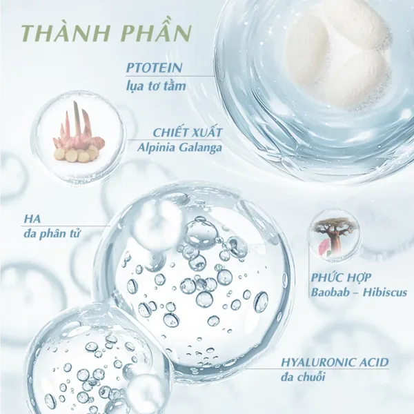 4 anh thanh phan